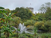 308. St. James’s Park (1)