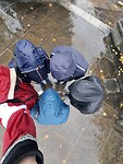 309. It’s raining cats and dogs