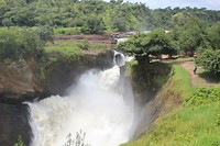 Murchison falls