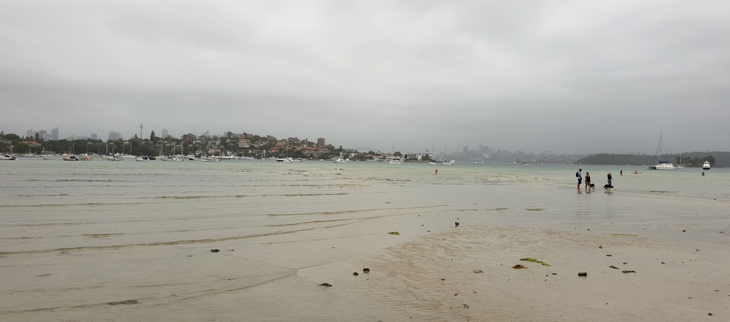 2019-01-19-16-55-52