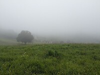 1000023941