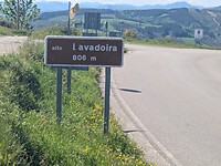 1000024071