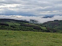 1000024316