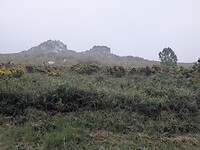 1000024540