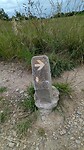 1000025851