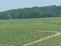 1000026574