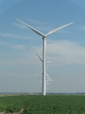 Rijen windmolens