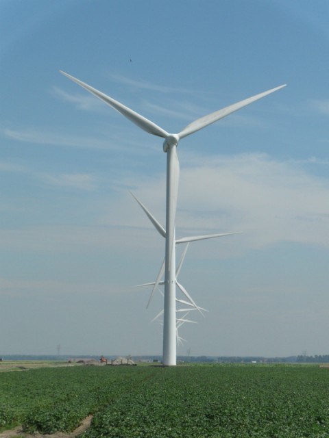 Rijen windmolens