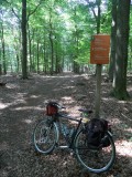 De paden in ...