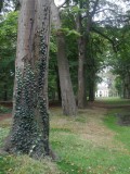 Huize Nijenburg