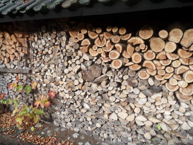 SAM_6630