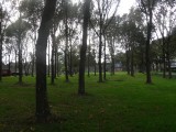 SAM_6614