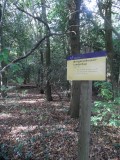 SAM_6673