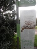 SAM_6680