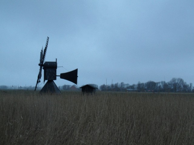 ... oudste en mooiste ...