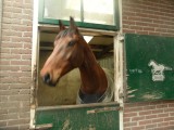 ... Open Huis ...