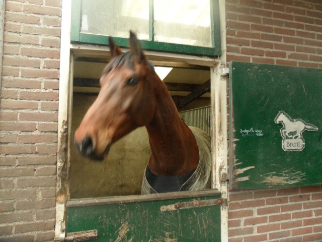 ... Open Huis ...