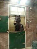 ... 'Toer de Boer' ...