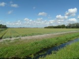 Oud, nieuw land