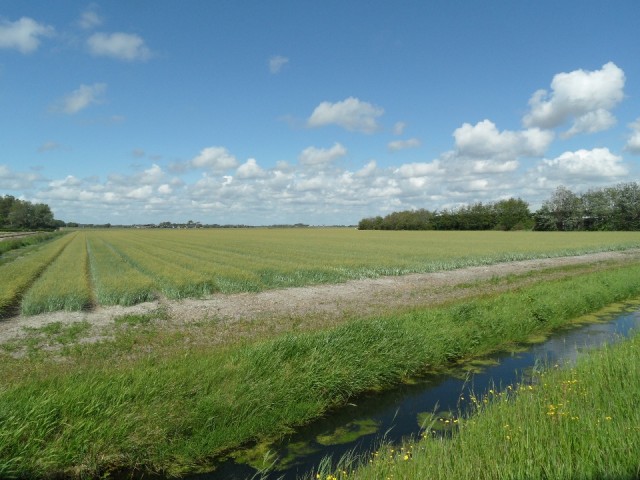 Oud, nieuw land