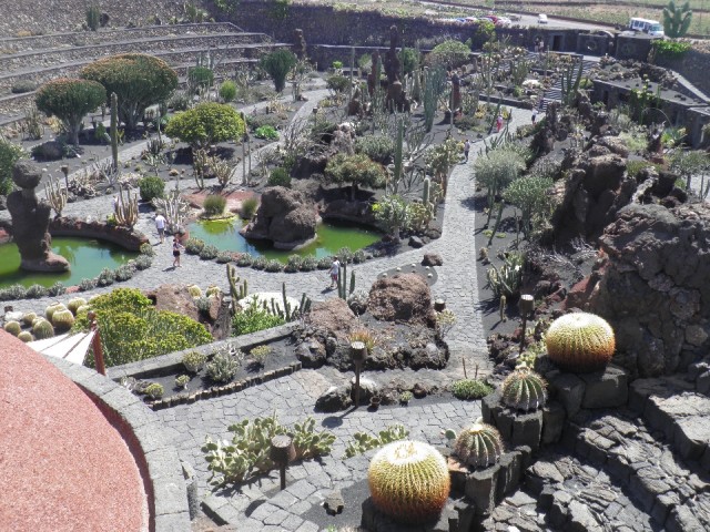 Cactustuin