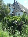 Mooi wonen in de polder