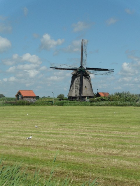 Bosmolen