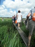 Bruggen slaan