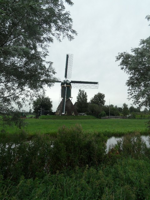 Groene hart