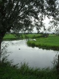 Groene hart