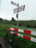 Naar huis