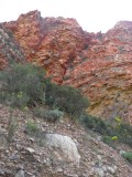 Rode rotsbogen