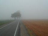 Dampende, dempende mist