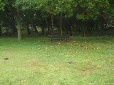 Speelweide
