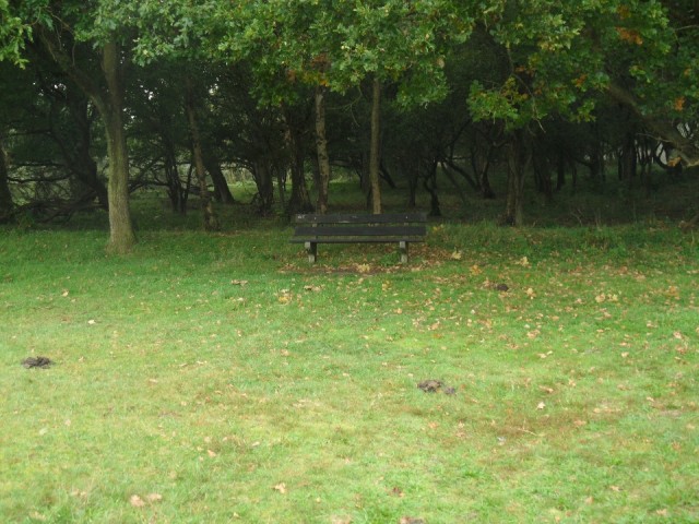 Speelweide