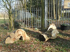 Stammen in stukken