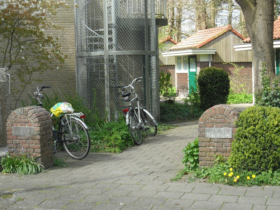 De Rimboe