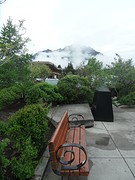 Weertje in Banff