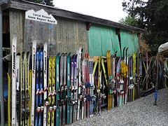 Alpine skiën of waterskiën