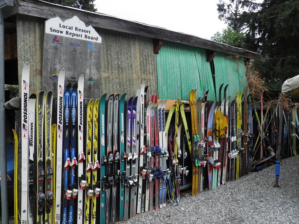 Alpine skiën of waterskiën