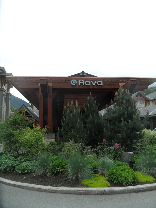 Bedje in 'The Aava Hotel'