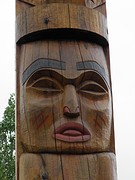 Aboriginal dreaming