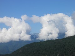Indianentaal