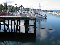 Ferry-geduld