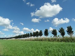 ... Noord-Hollands Landschap ...