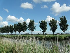 ... nooit genoeg ...