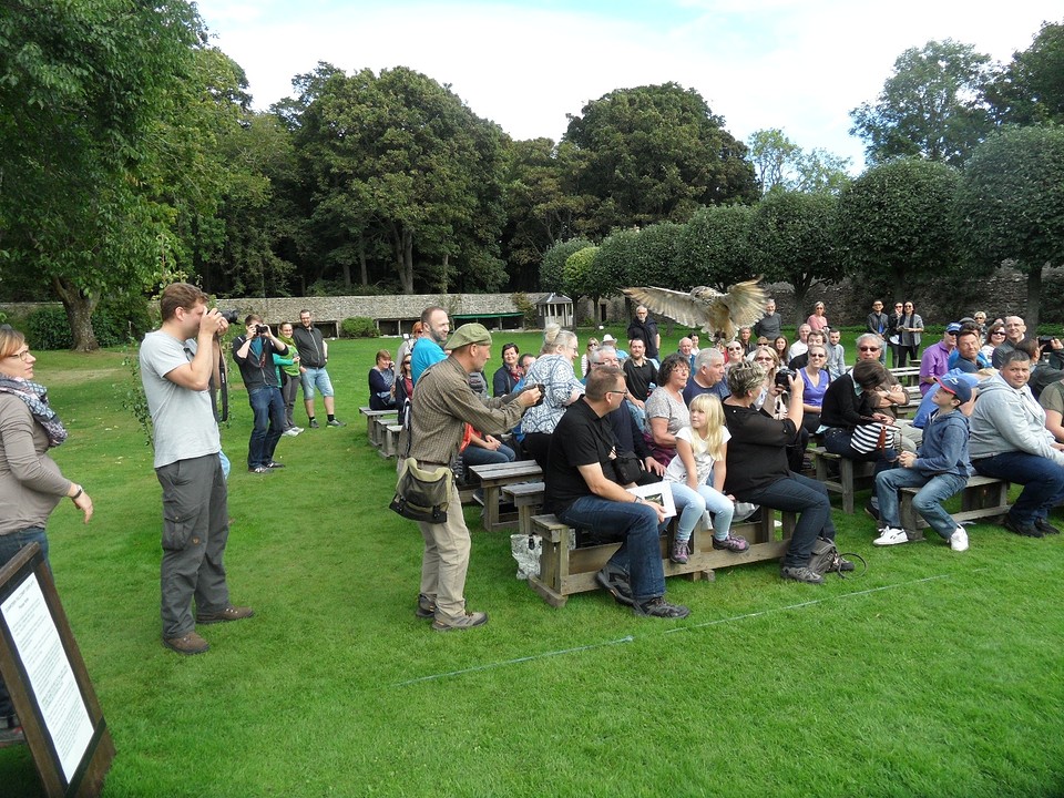Volle tribunes voor vogelshow