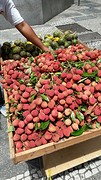Land van fruit, fruit, fruit