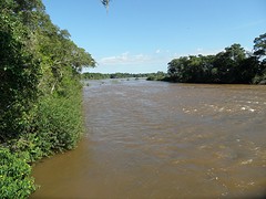 ... bruin rivierwater ...