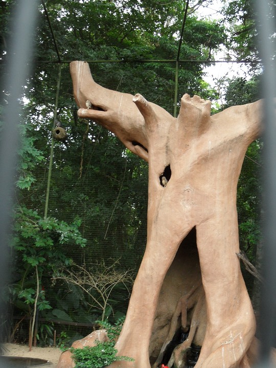 ... houtkunst ...
